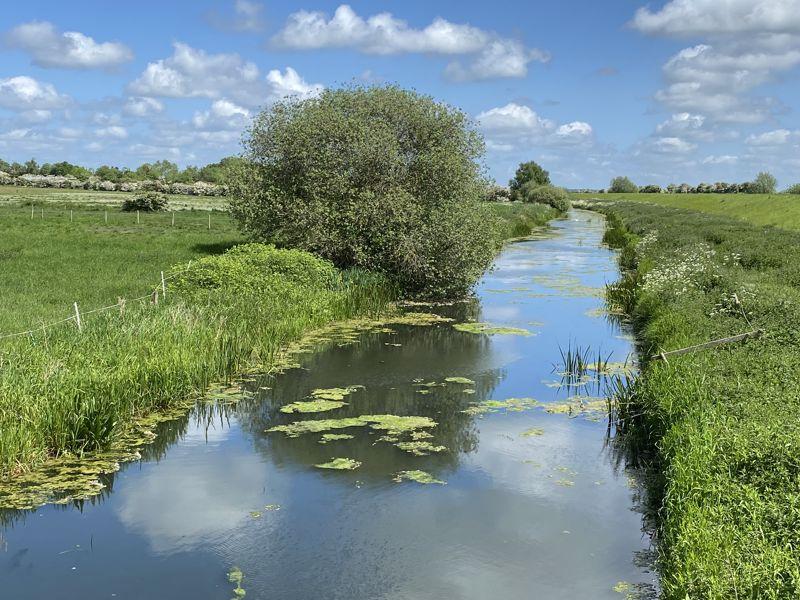 River view