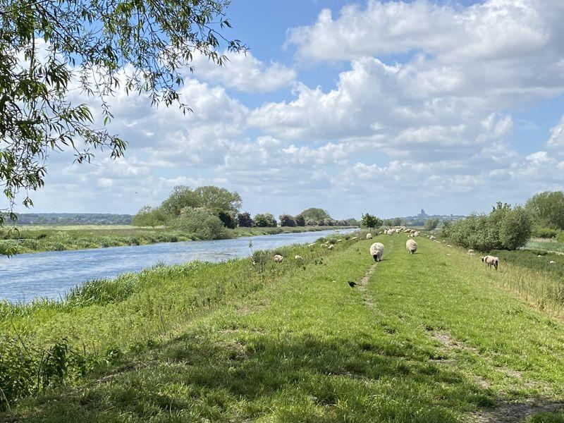 Riverbank