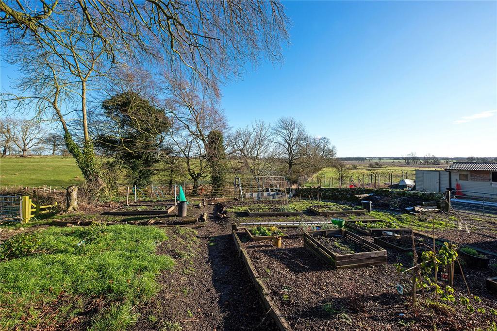 Vegetable Garden