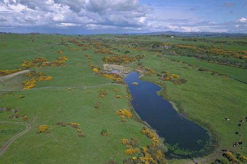 undefined, Borgue, Kirkcudbright DG6