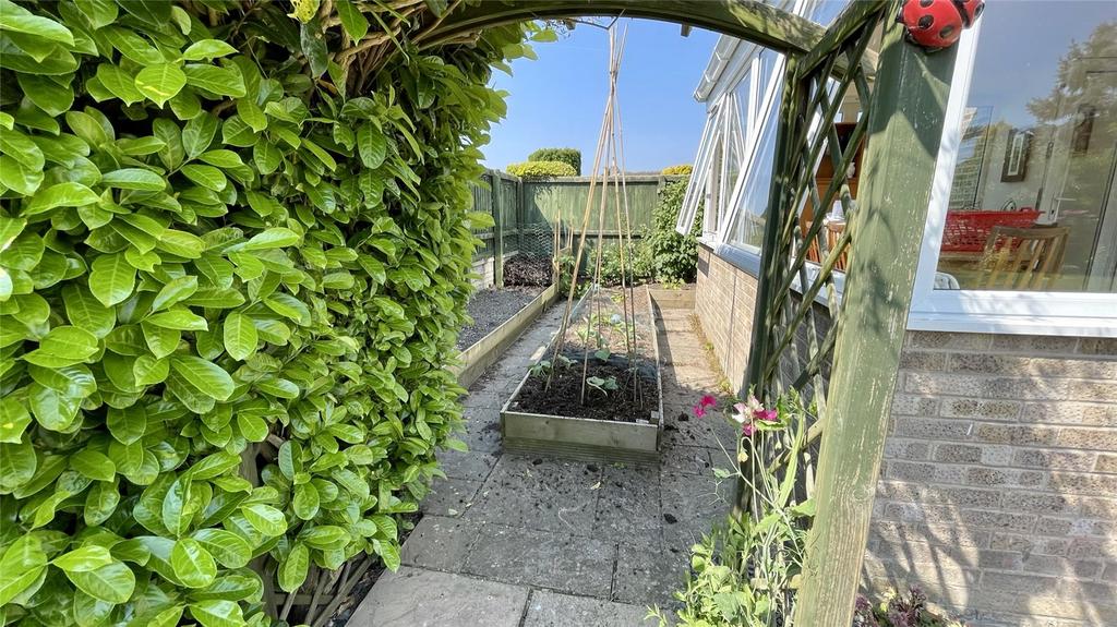 Vegetable Garden