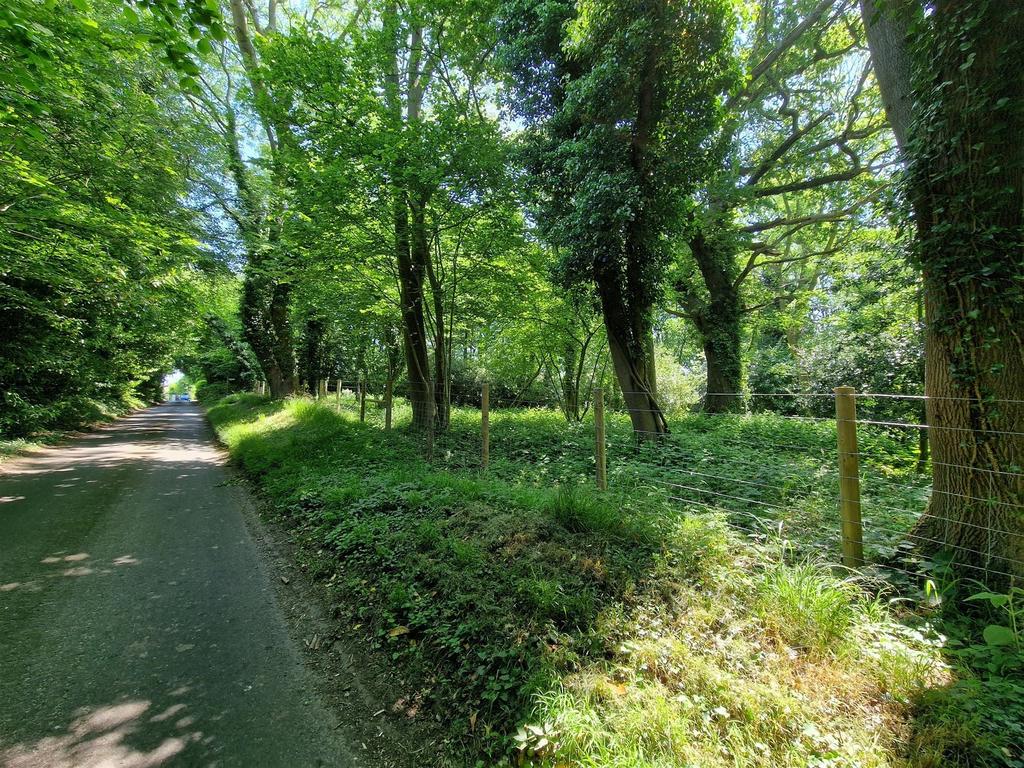 Road
