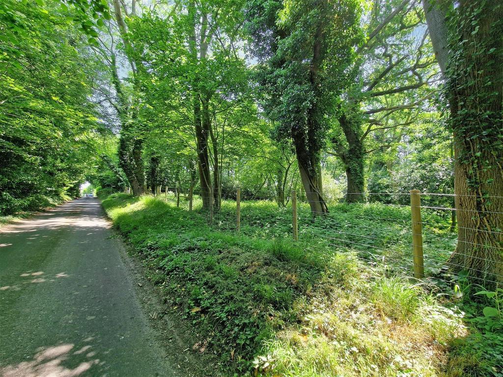 Road