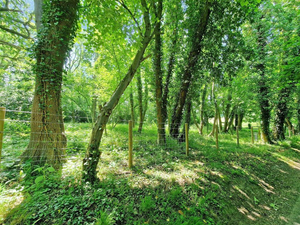 Woodland