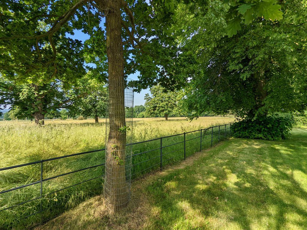 Parkland View to South