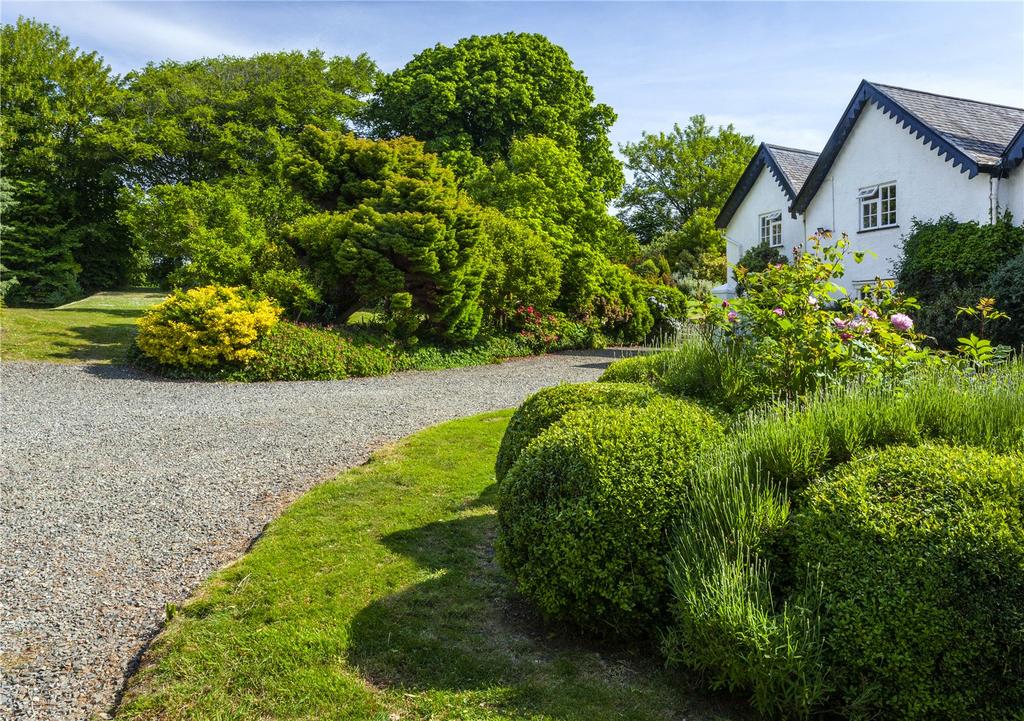 Picture 22