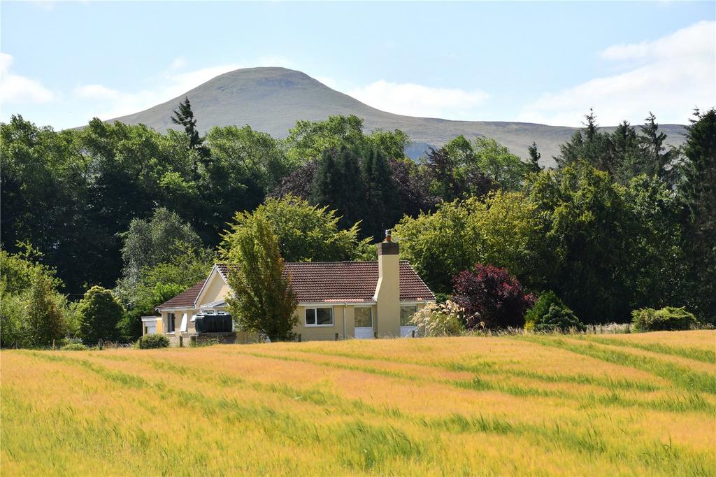 Edenside