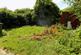Dscn9517.jpg