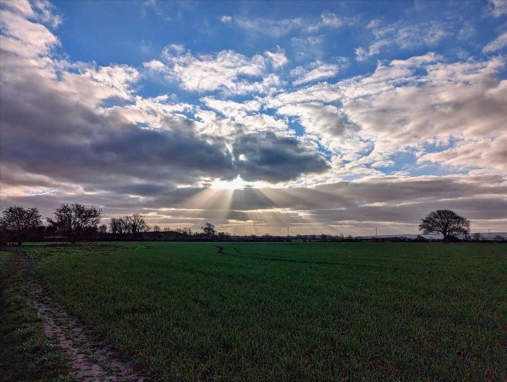 Farmers field with