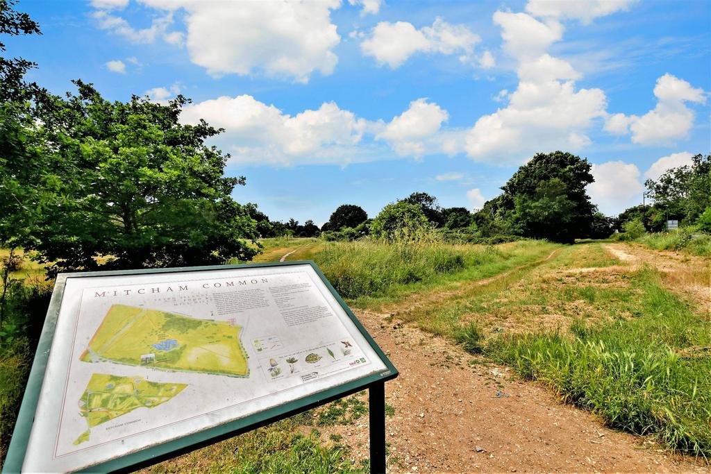 Surrounding Area