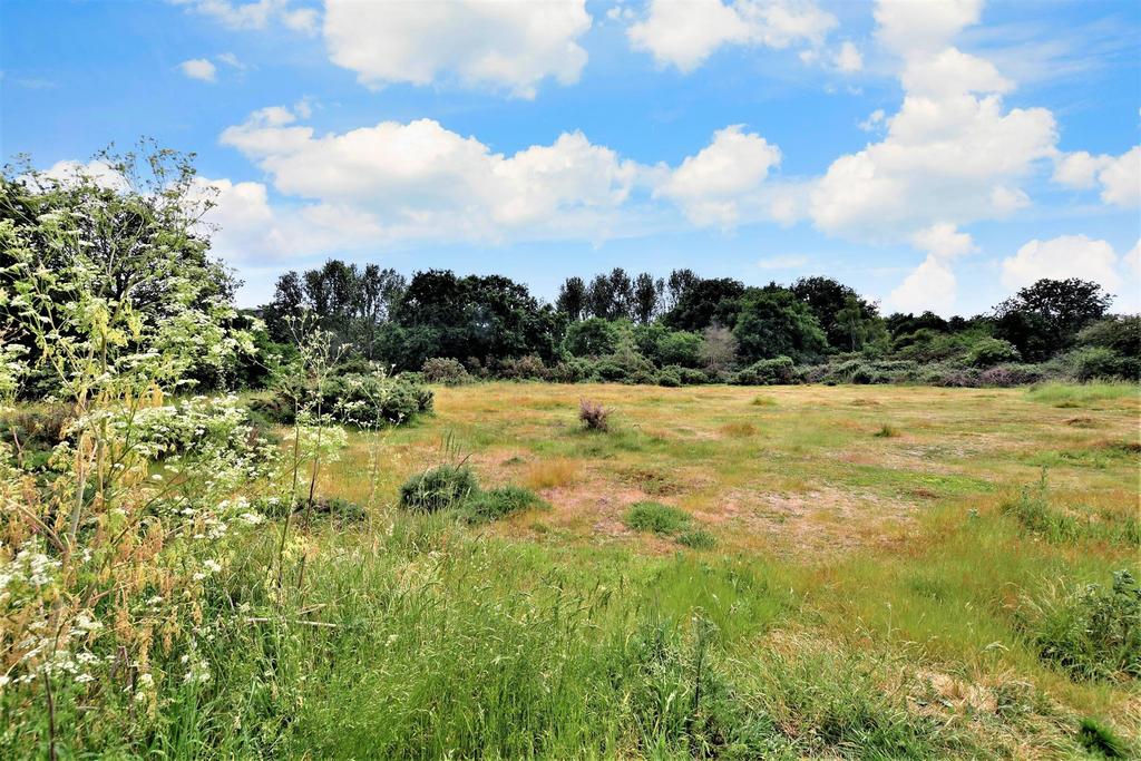 Surrounding Area