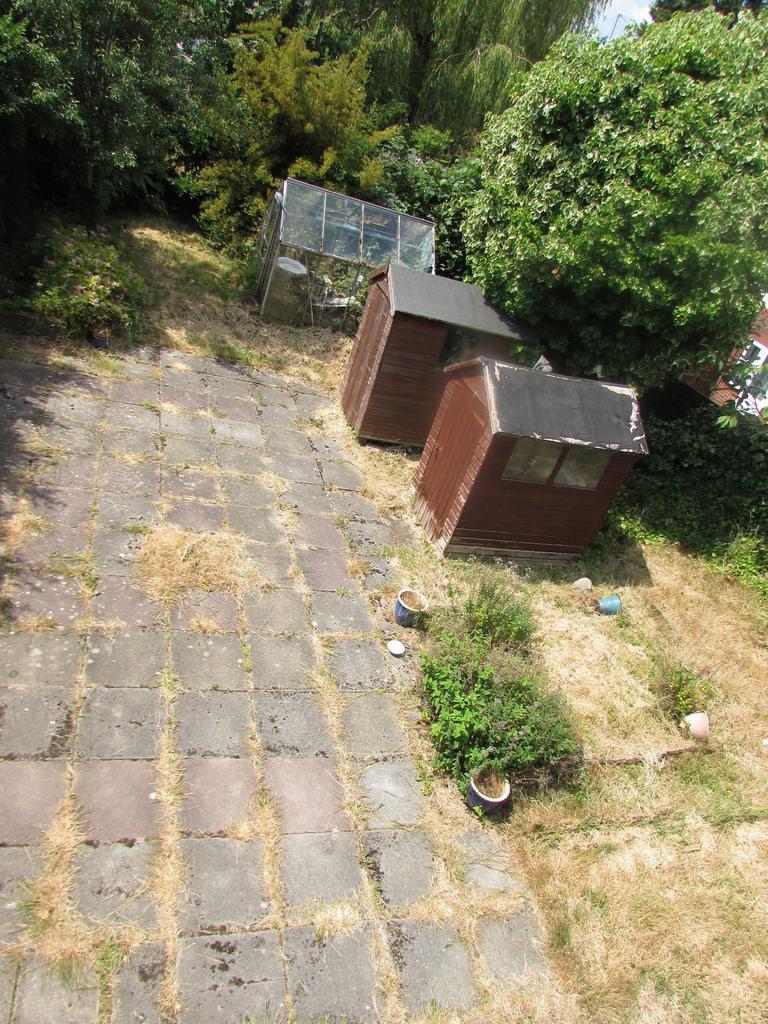 Photograph 14