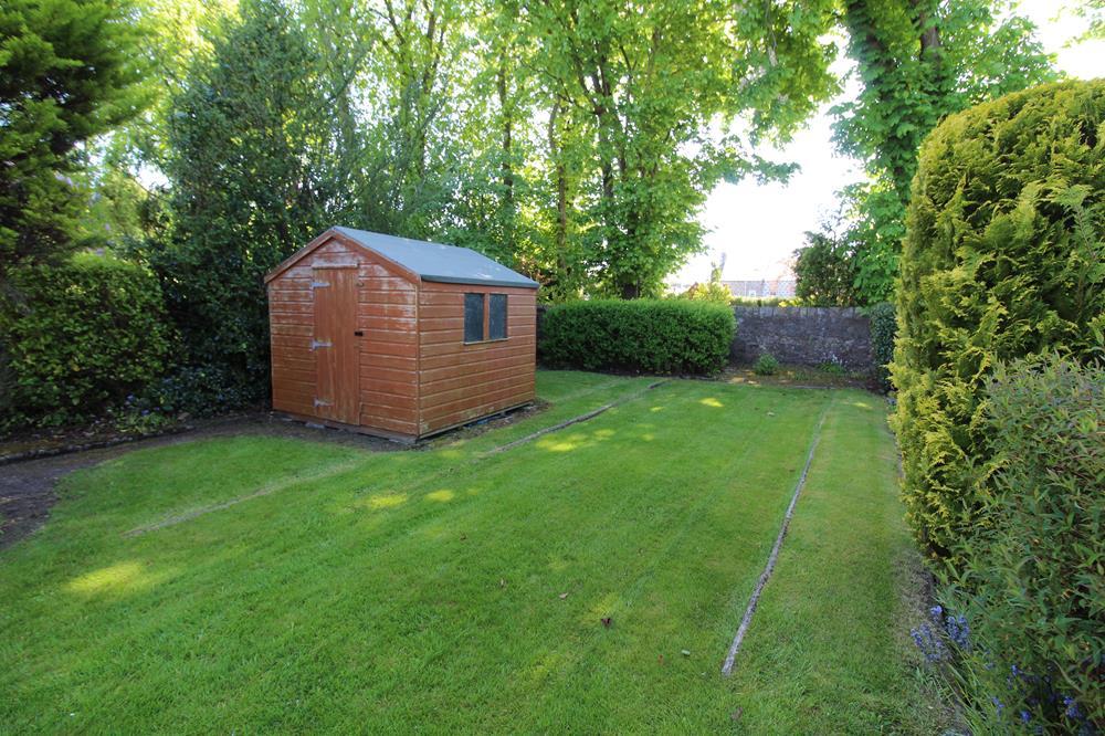 Garden pic 2