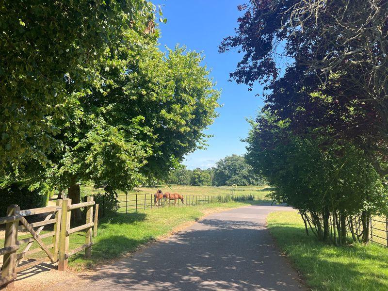 Driveway