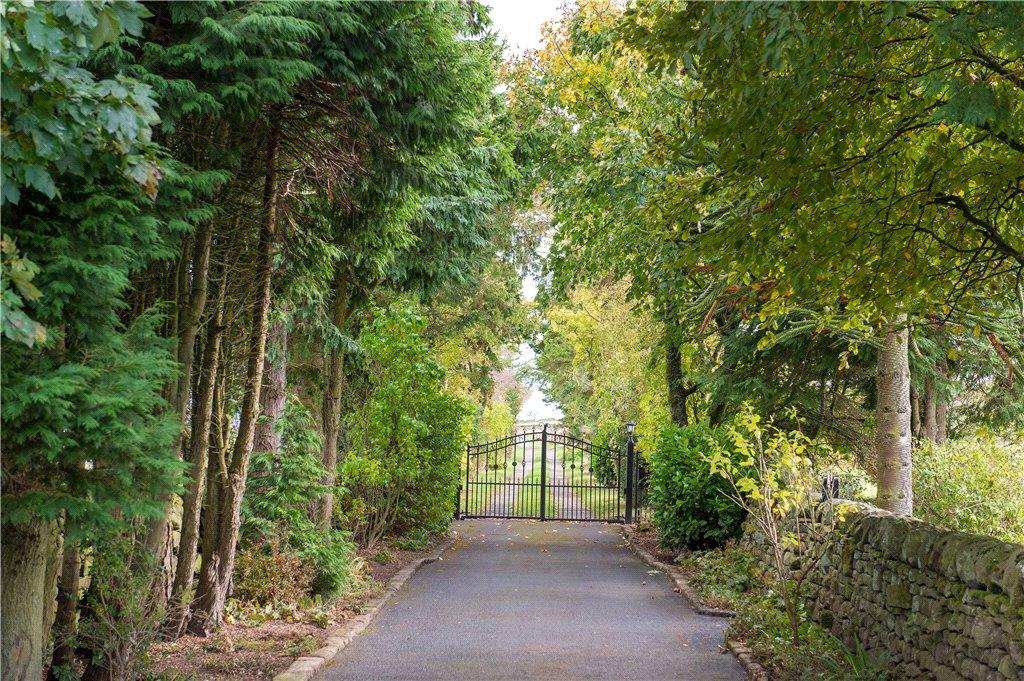 Delightful Access