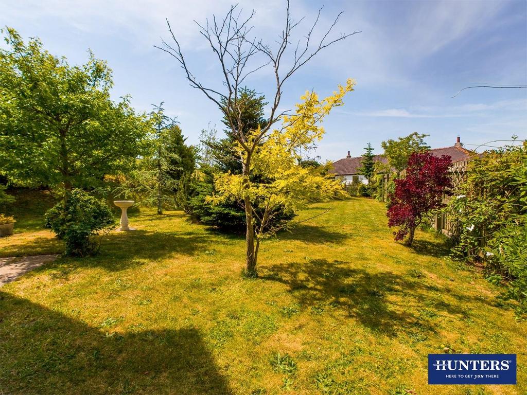 External - Rear Garden