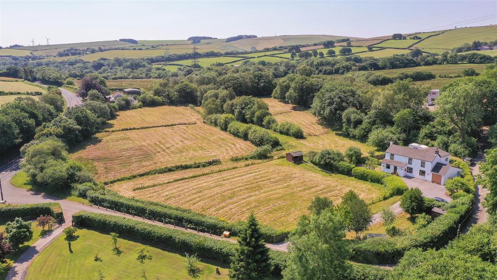 DJI 0699.jpg