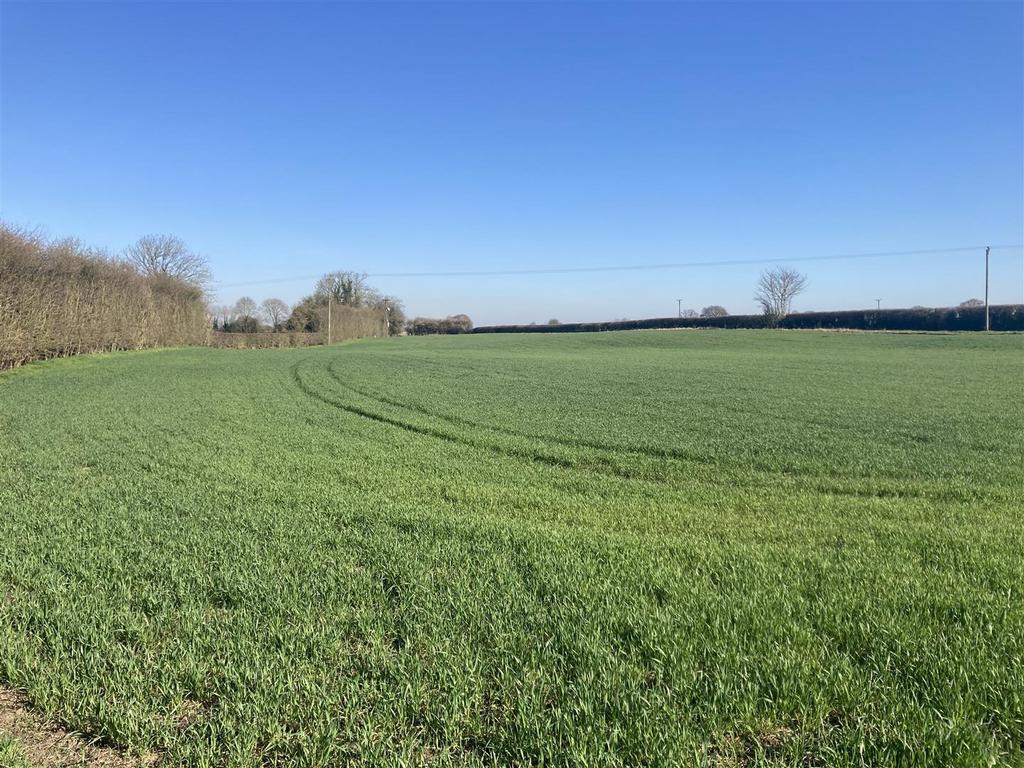 Road, Sherburn In Elmet, Leeds Farm land for sale £325,000