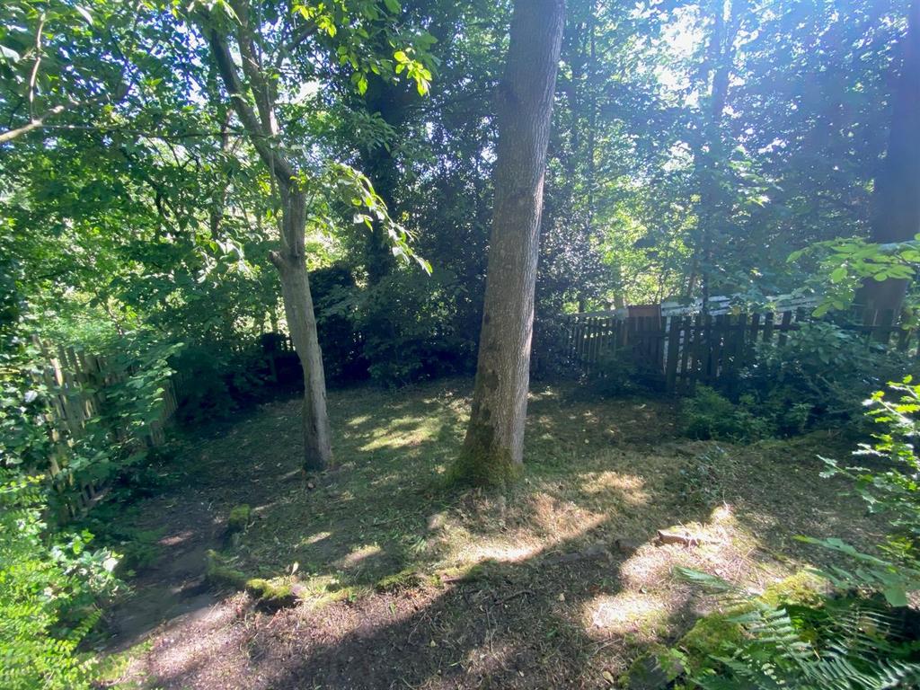GARDEN 2.jpg