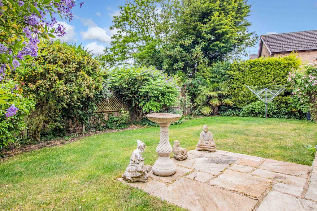Garden at Back