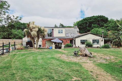 undefined, Adamsfield, Tremaine