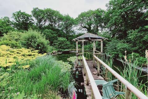 undefined, Adamsfield, Tremaine