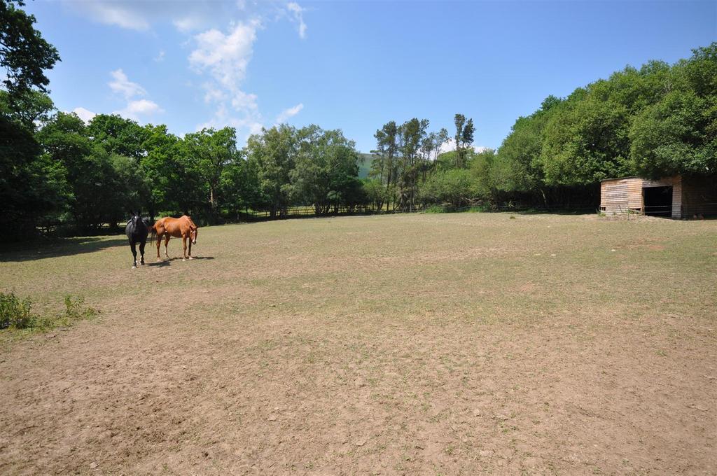 Dsc 1374.jpg