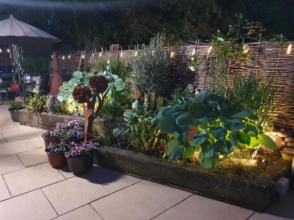 Rear Garden at Night A