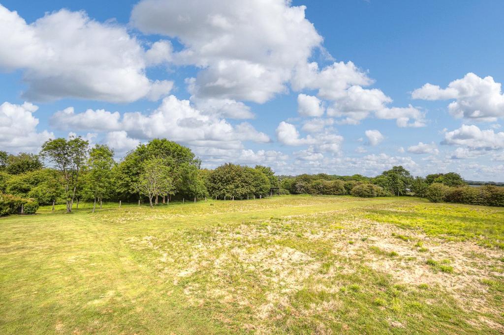 Land View
