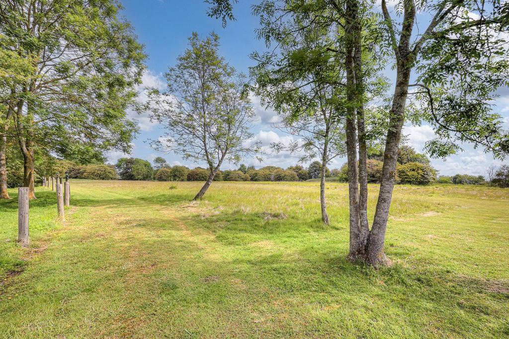 Land View