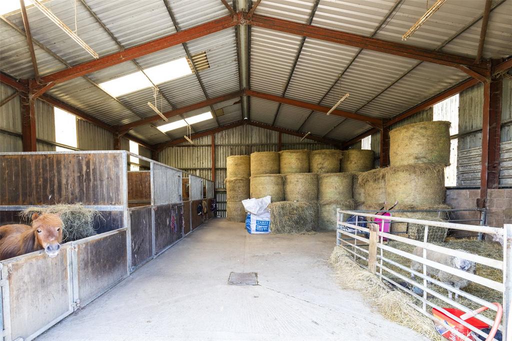 General Purpose Shed