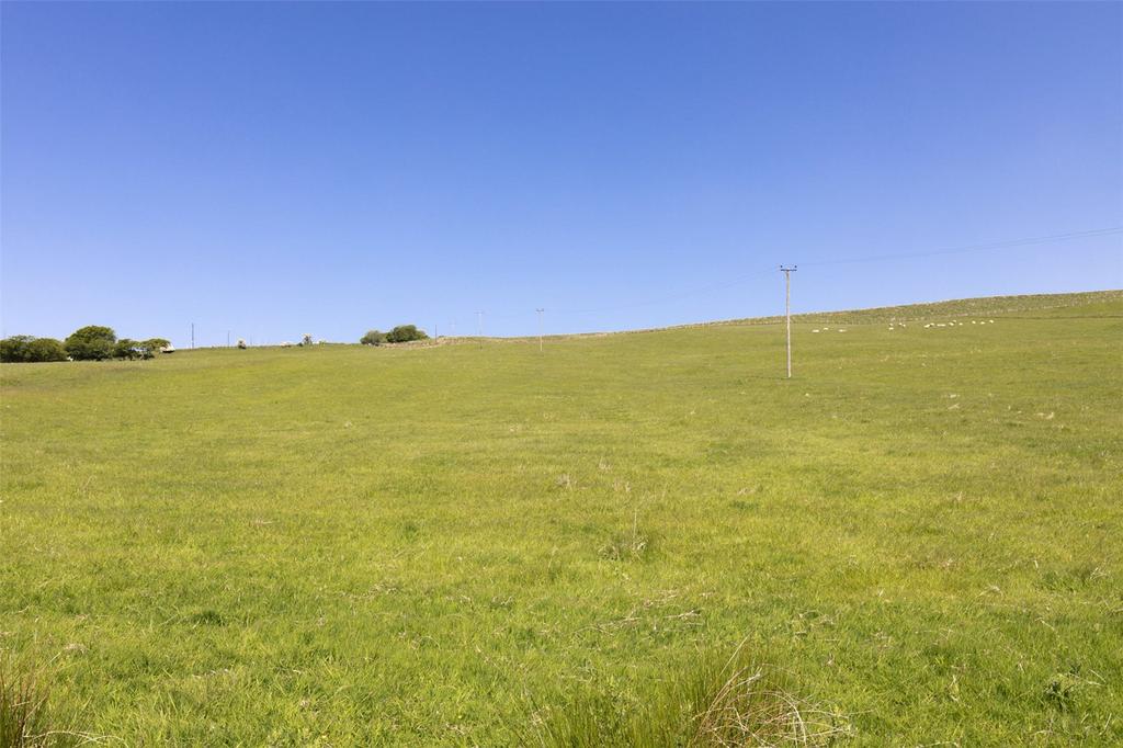 Land