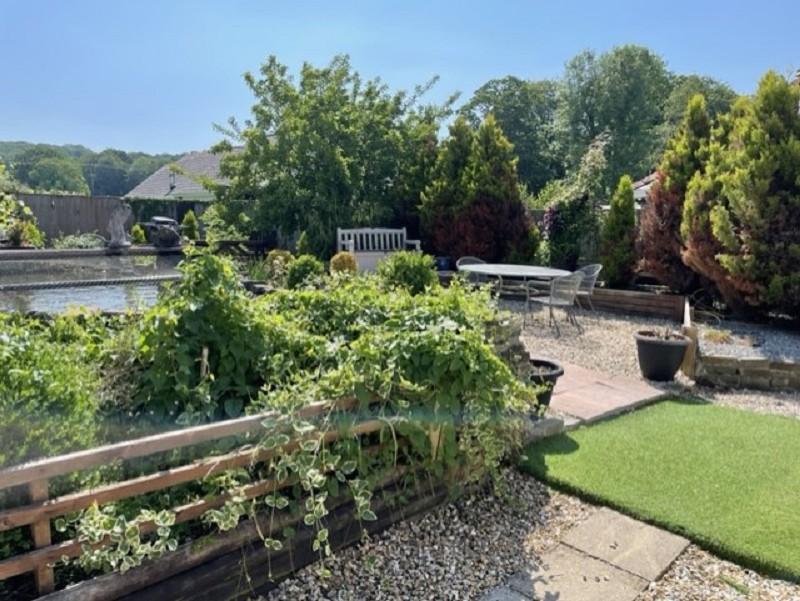 Not Specified