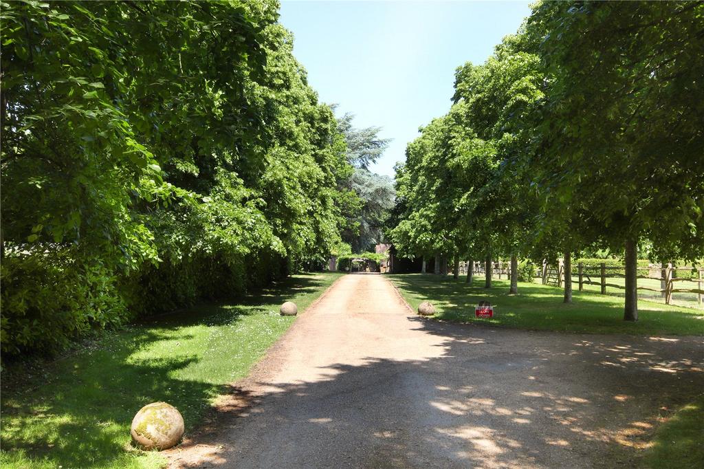 Picture 19