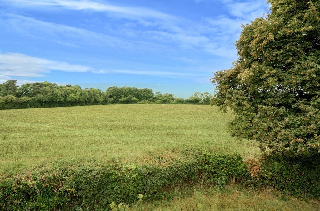 Adjoining Fields