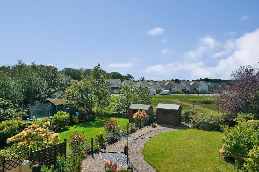 Back Garden4