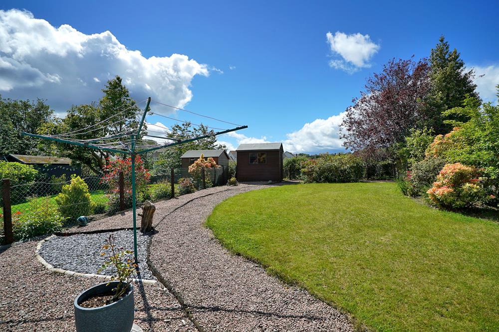 Back Garden2