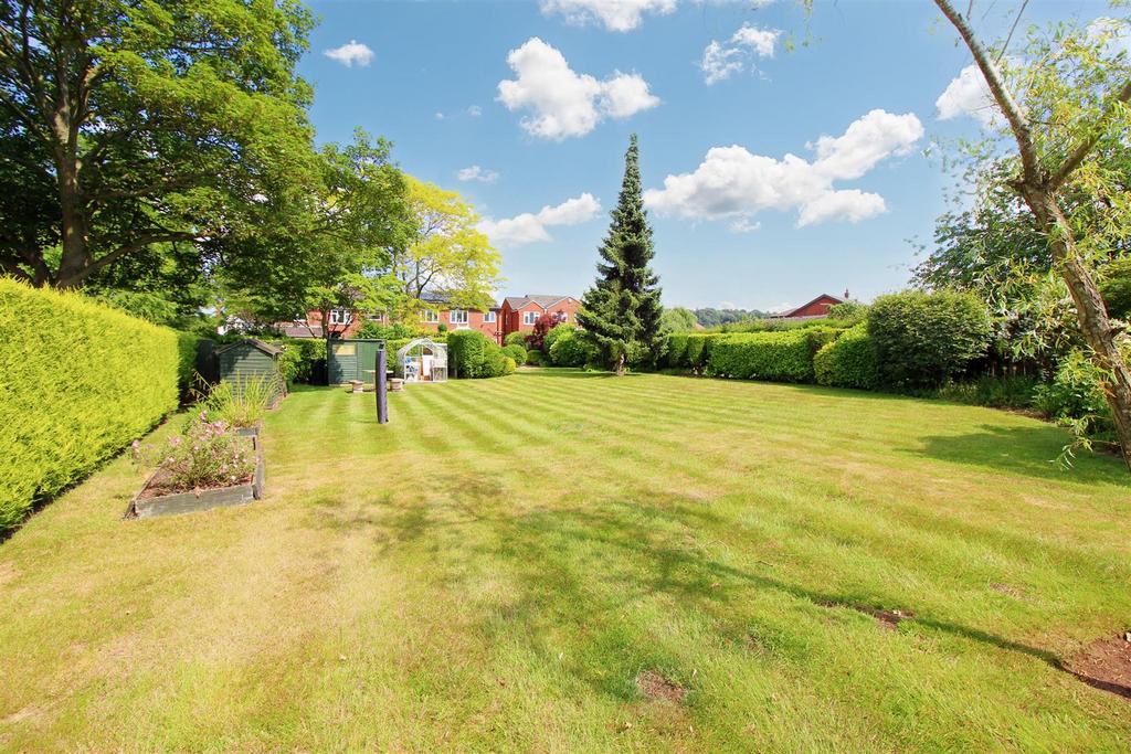 Garden (2).jpeg