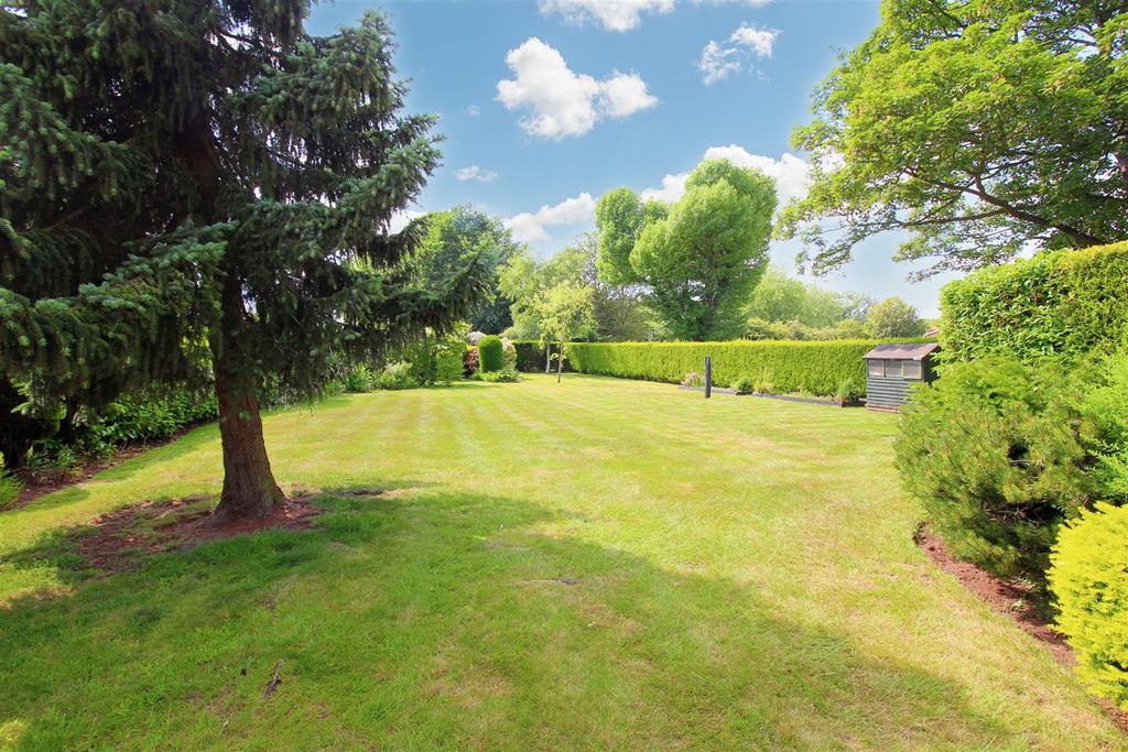 Garden (1).jpeg