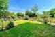 Garden.jpg