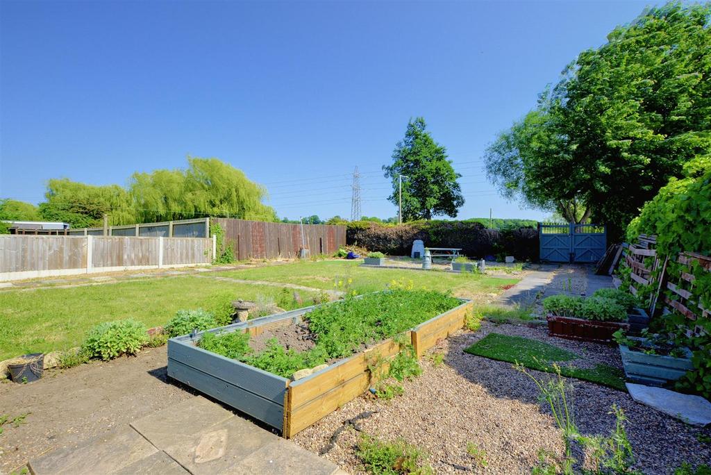 Garden 2.jpeg