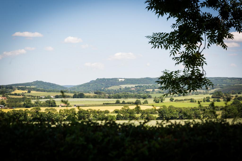 View Of White Horse