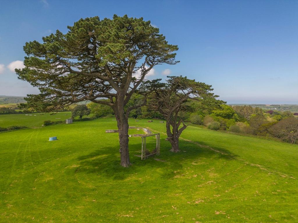 Cross-Country Course