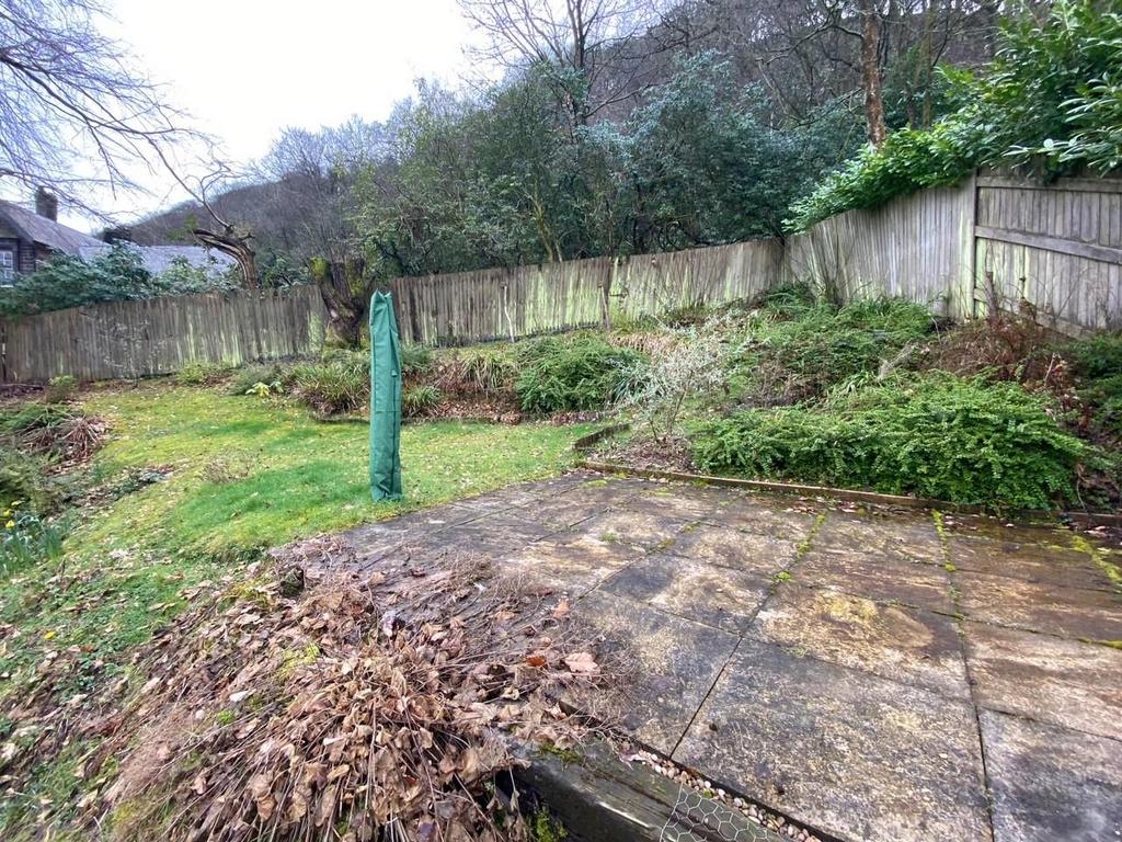 BACK GARDEN 2.jpg
