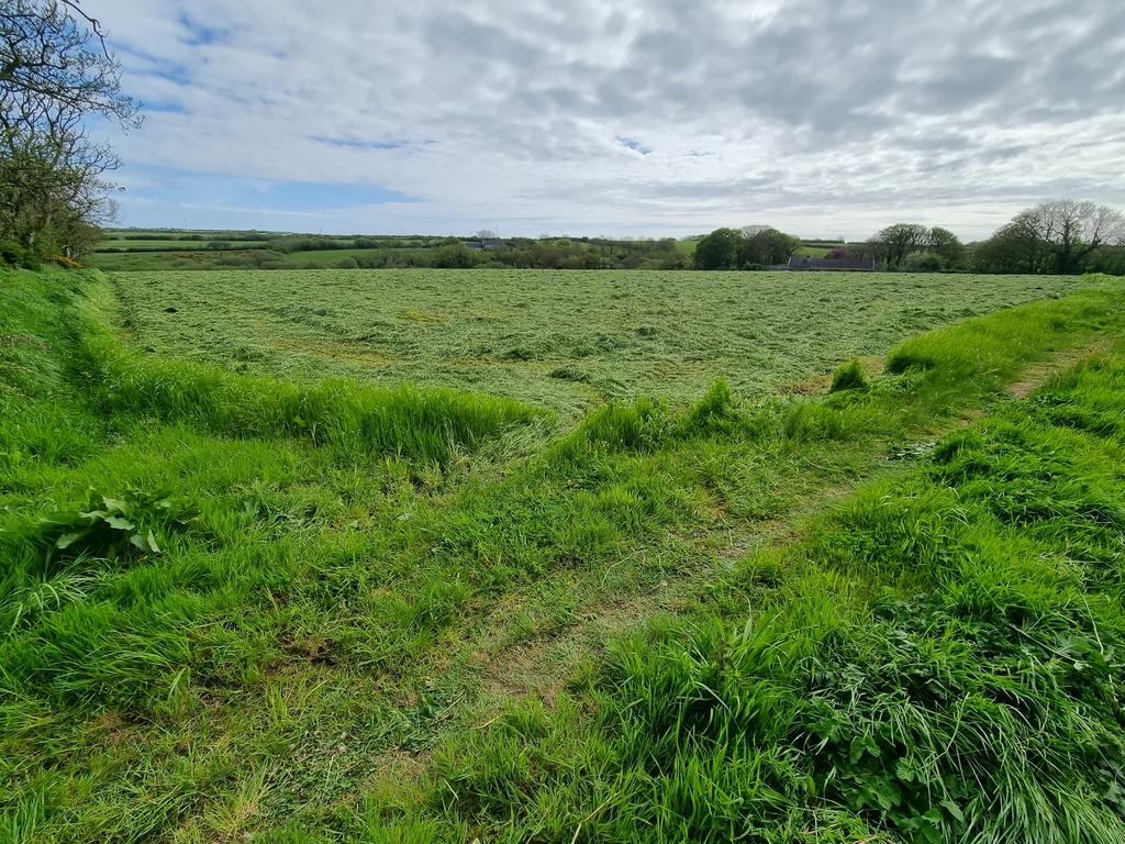 Dale Road, Haverfordwest SA62 Farm land for sale £210,000