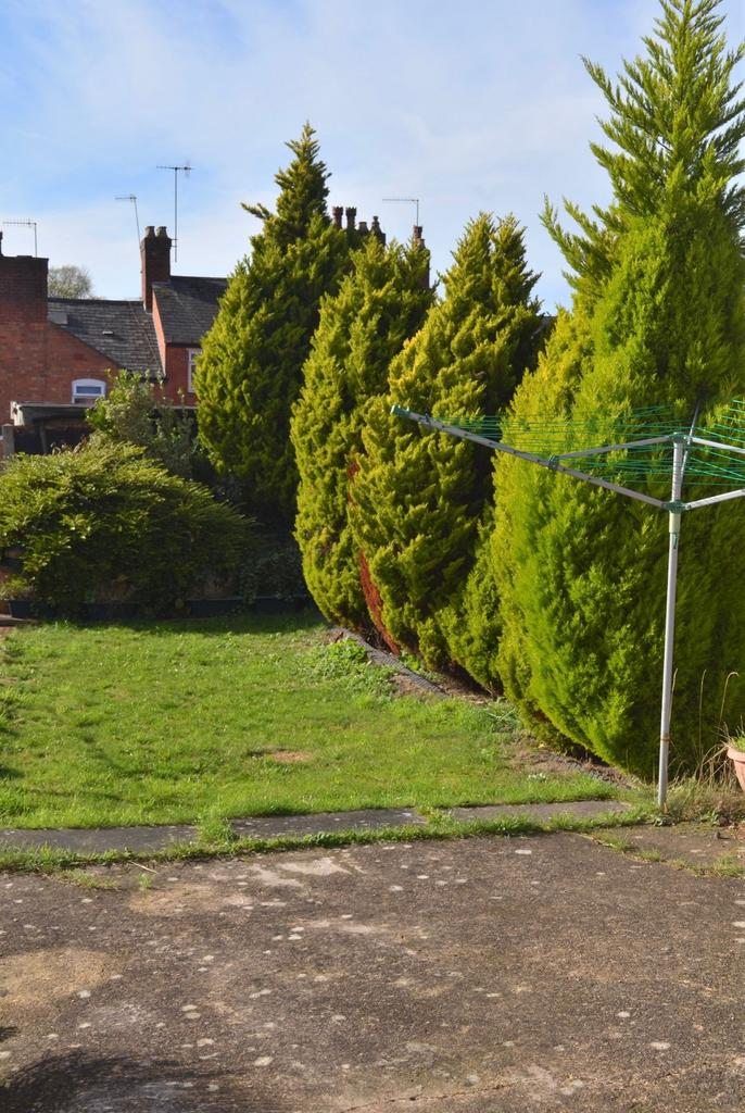 Back Garden