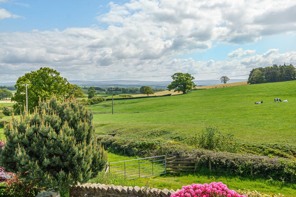 Countryside Views