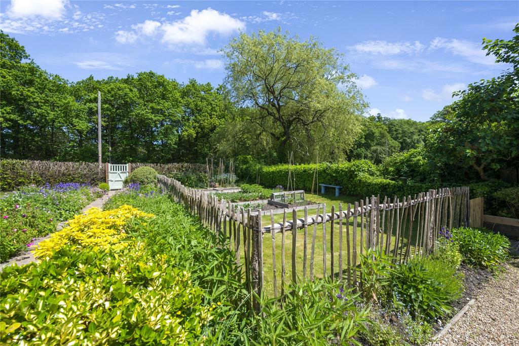 Vegetable Plot