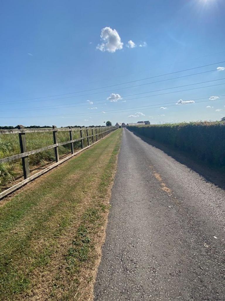 View from driveway
