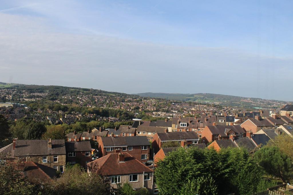 VIew 2.jpg